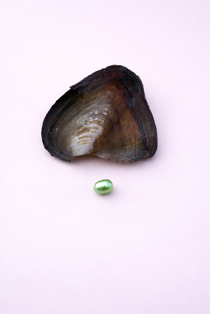 1 Pearl Rice oyster