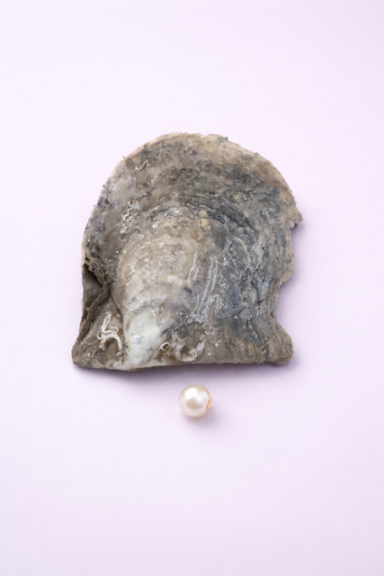 1 Pearl Round oyster