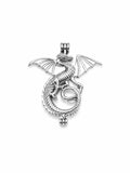 Dragon With Wings